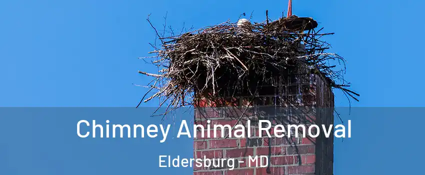  Chimney Animal Removal Eldersburg - MD