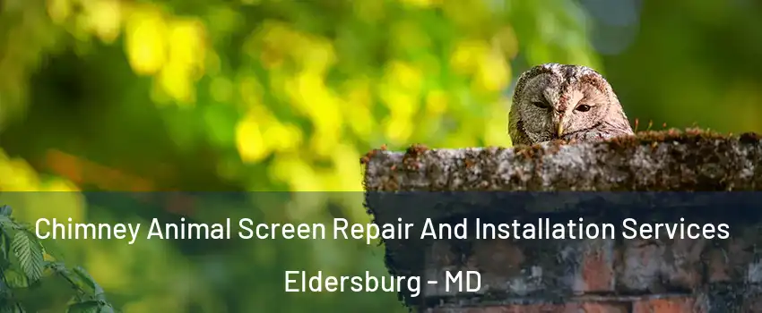  Chimney Animal Screen Repair And Installation Services Eldersburg - MD