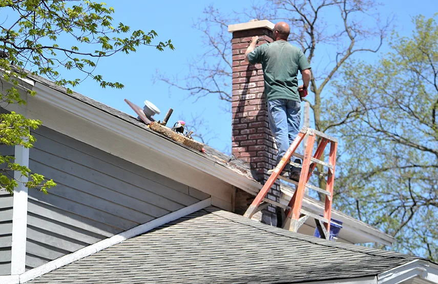 Chimney & Fireplace Inspections Services in Eldersburg, MD
