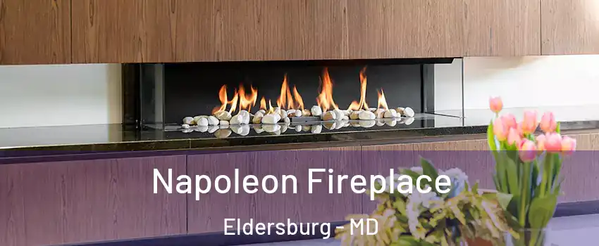  Napoleon Fireplace Eldersburg - MD